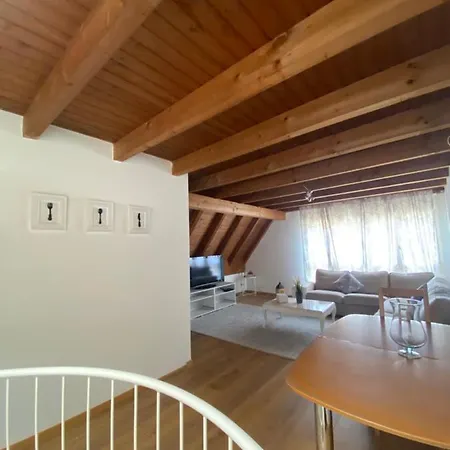 Get Cozy Family Flat Zurich