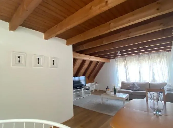 Get Cozy Family Flat Zúrich